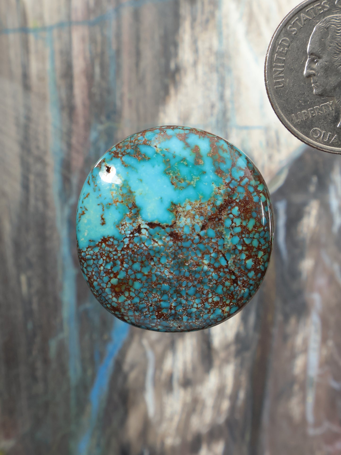 Patagonia Turquoise Cabochon Q129