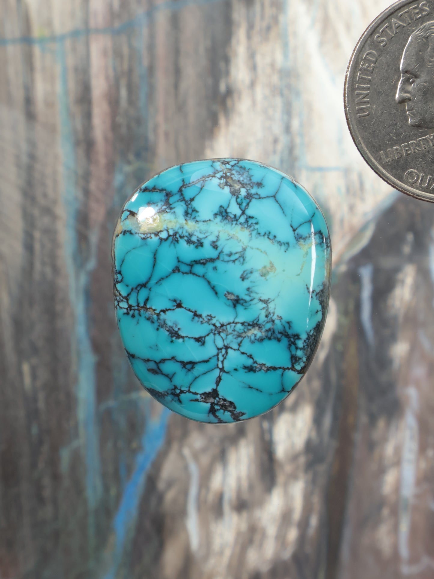 Turquoise cabochon gemstone, round domed with dark blue veining