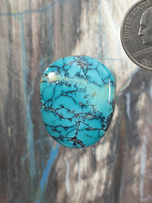 Turquoise cabochon gemstone, round domed with dark blue veining
