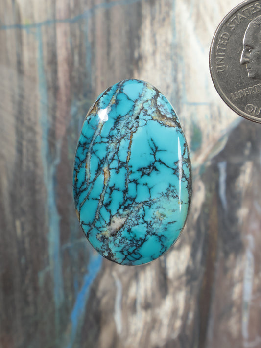 Oval turquoise cabochon gemstone in bright blue with dark web-like veining