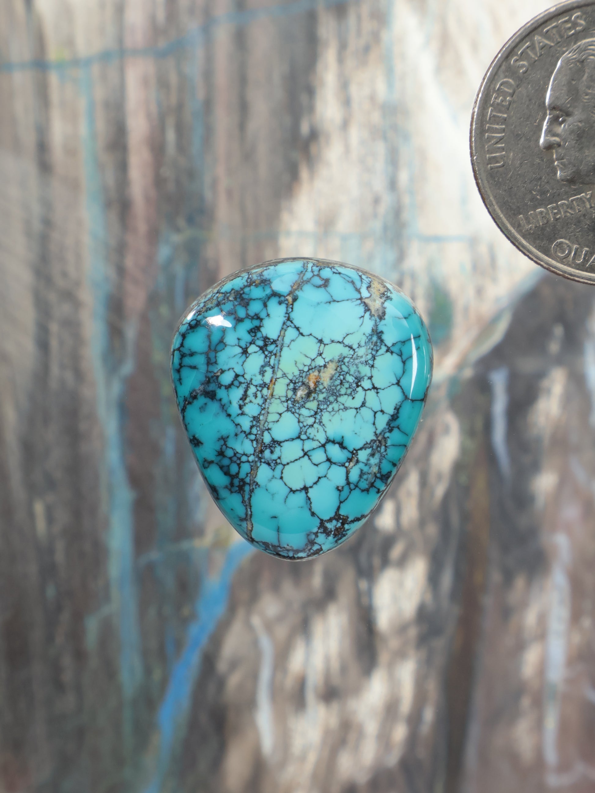 Turquoise cabochon gemstone, teardrop shape with dark webbed veins