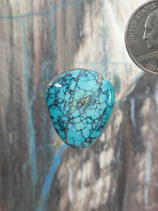 Turquoise cabochon gemstone, teardrop shape with dark webbed veins