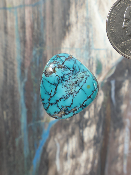 Teardrop turquoise cabochon gemstone with black webbed matrix pattern