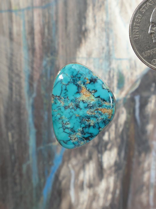 Turquoise cabochon gemstone in teardrop shape with natural matrix veining