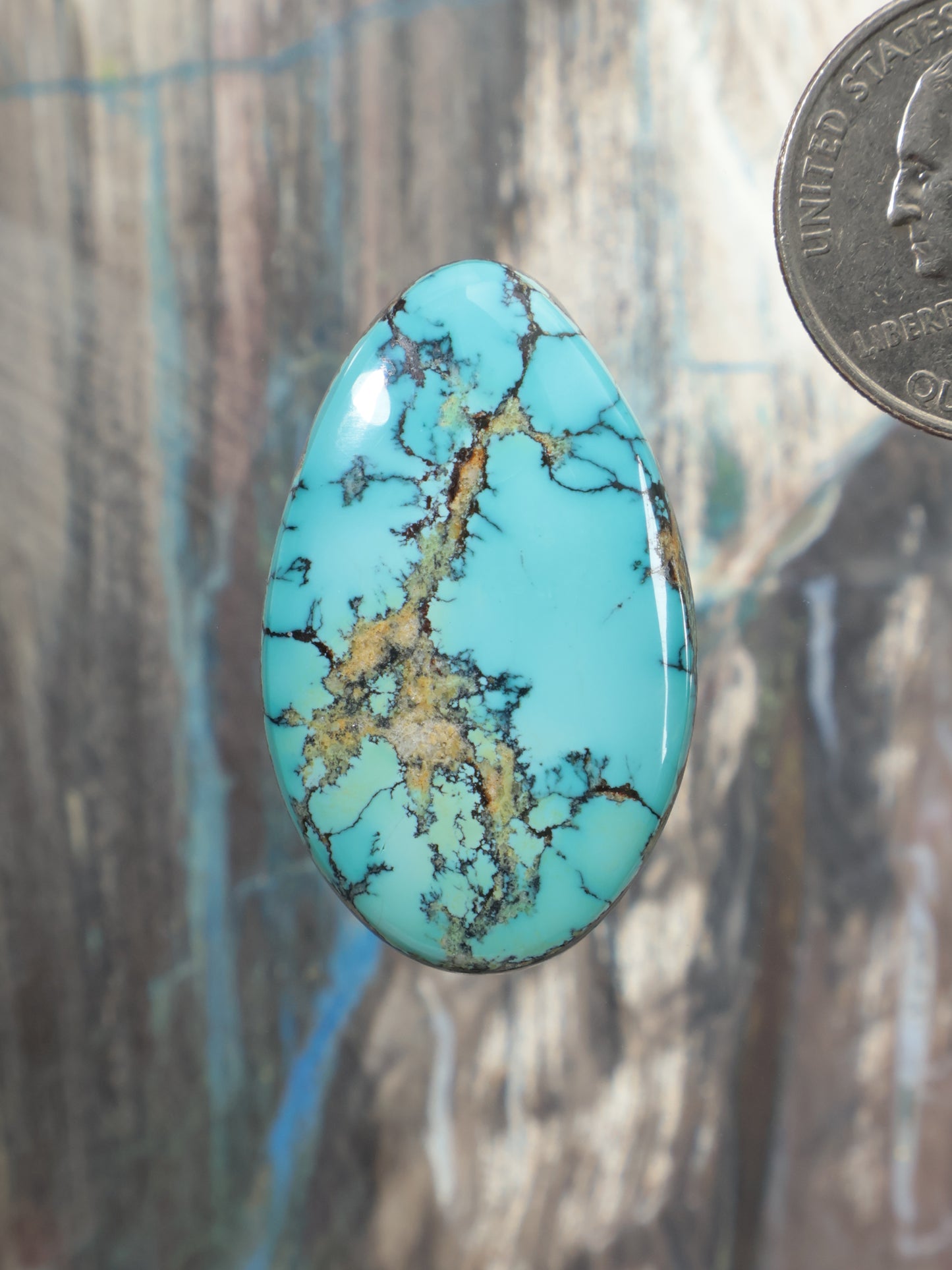 Oval turquoise cabochon gemstone with brown and gold web-like veining