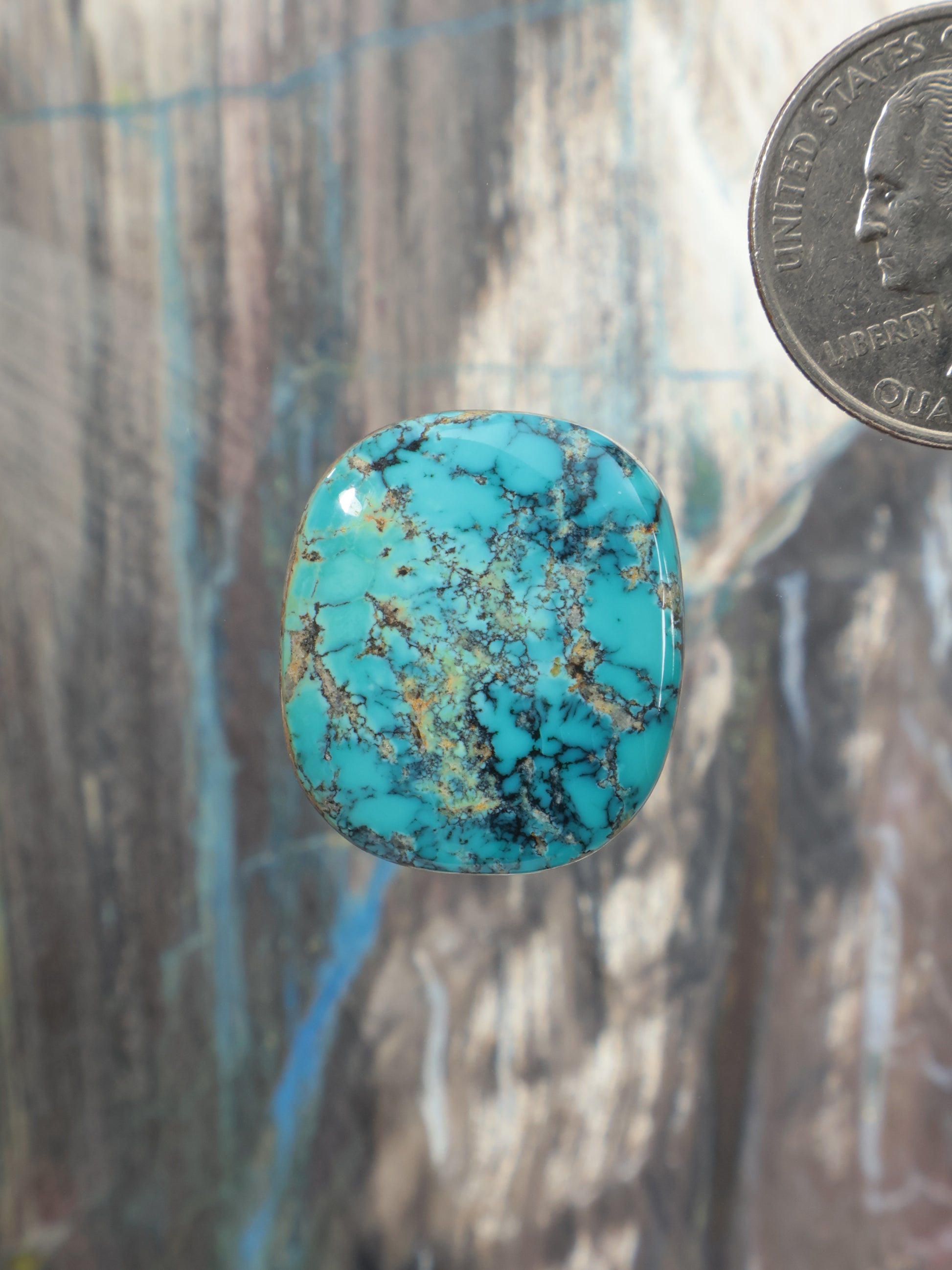 Oval turquoise cabochon gemstone with thin gold-brown matrix lines