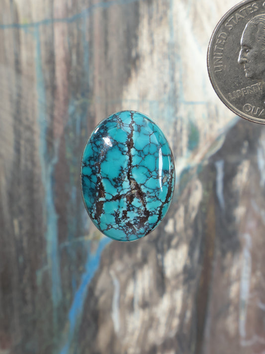Oval turquoise cabochon with black matrix veining