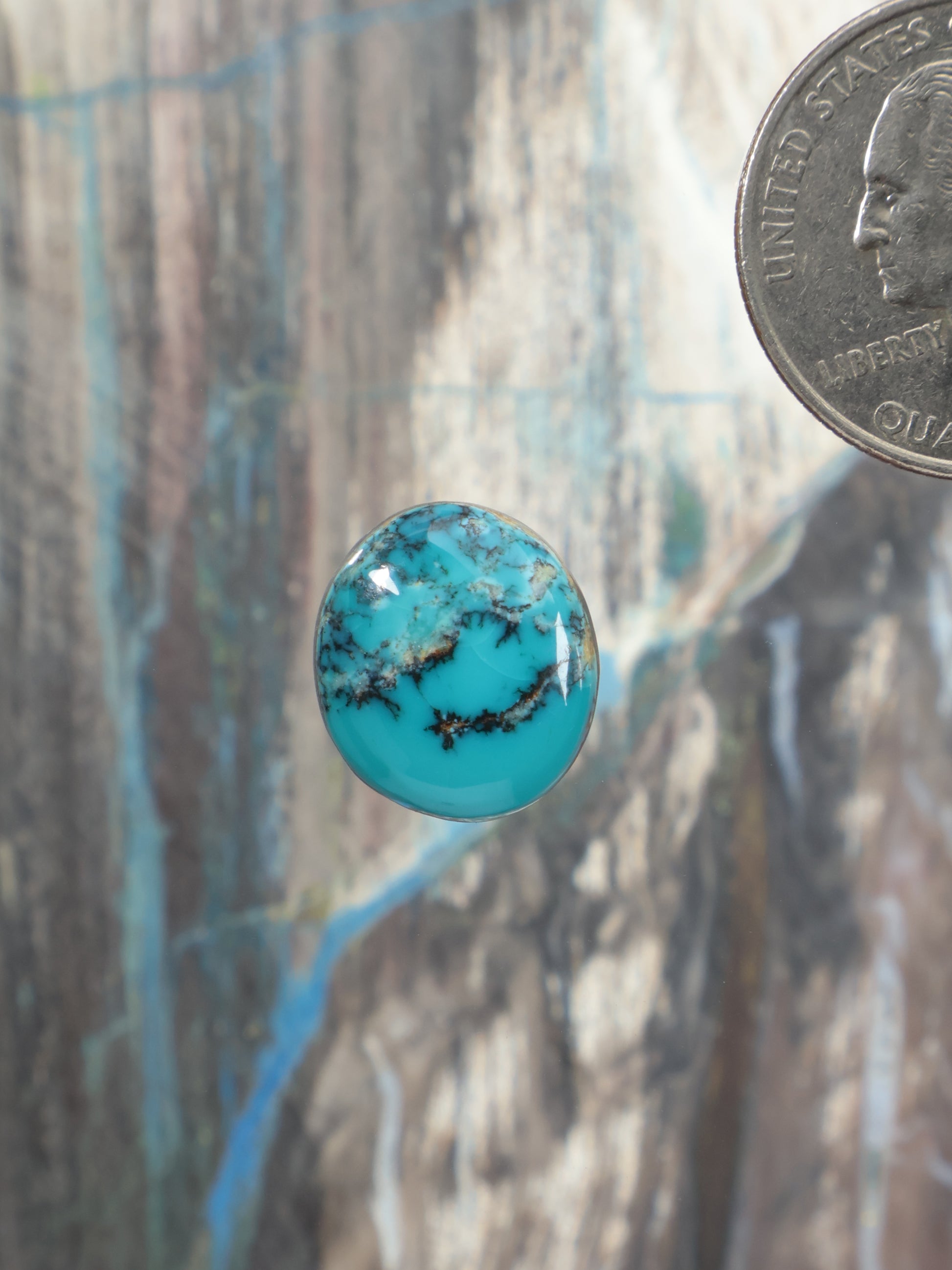 Round Labashan turquoise cabochon with dark matrix veining