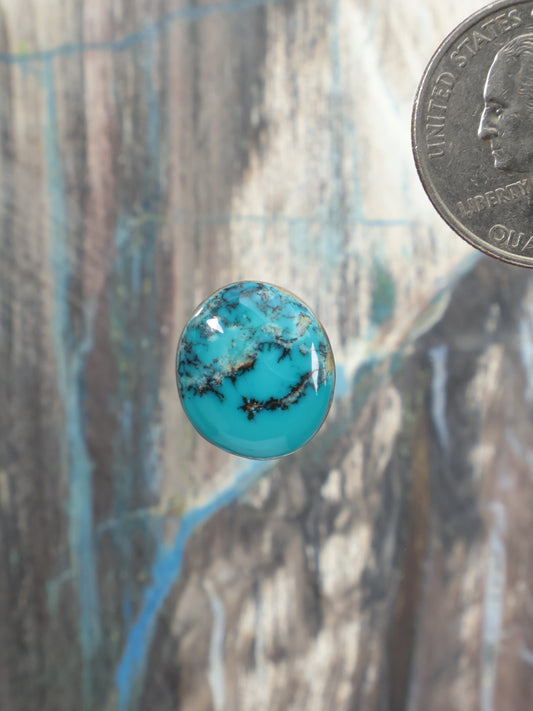 Round Labashan turquoise cabochon with dark matrix veining