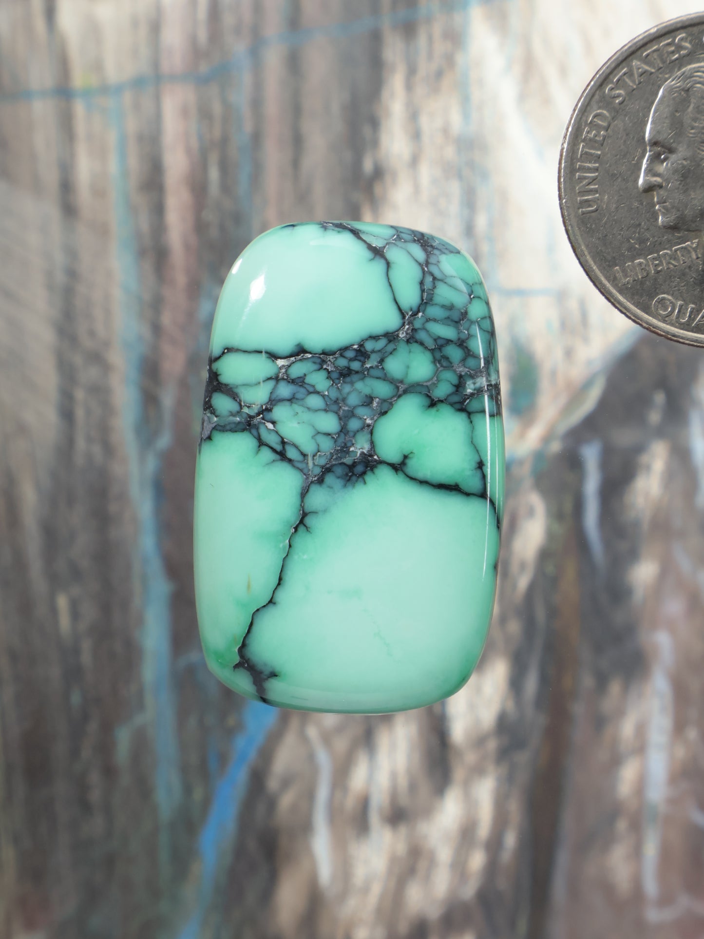 Variscite cabochon gemstone, turquoise-green with dark web veining, rounded rectangle