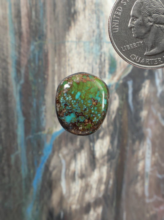 Turquoise cabochon gemstone with green-blue speckled mosaic, shown next to a quarter
