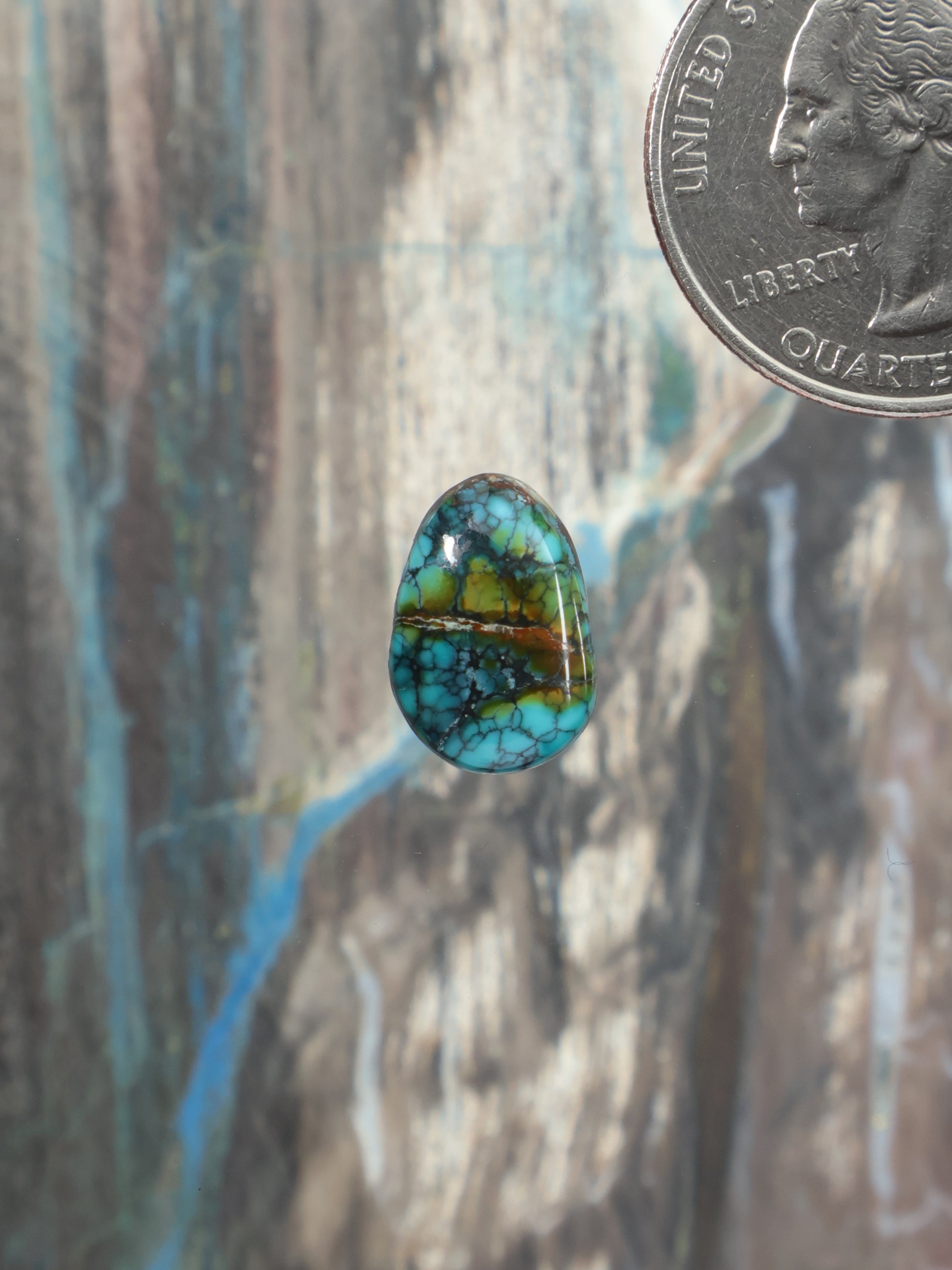 Oval turquoise cabochon with teal-blue matrix web pattern, domed gemstone