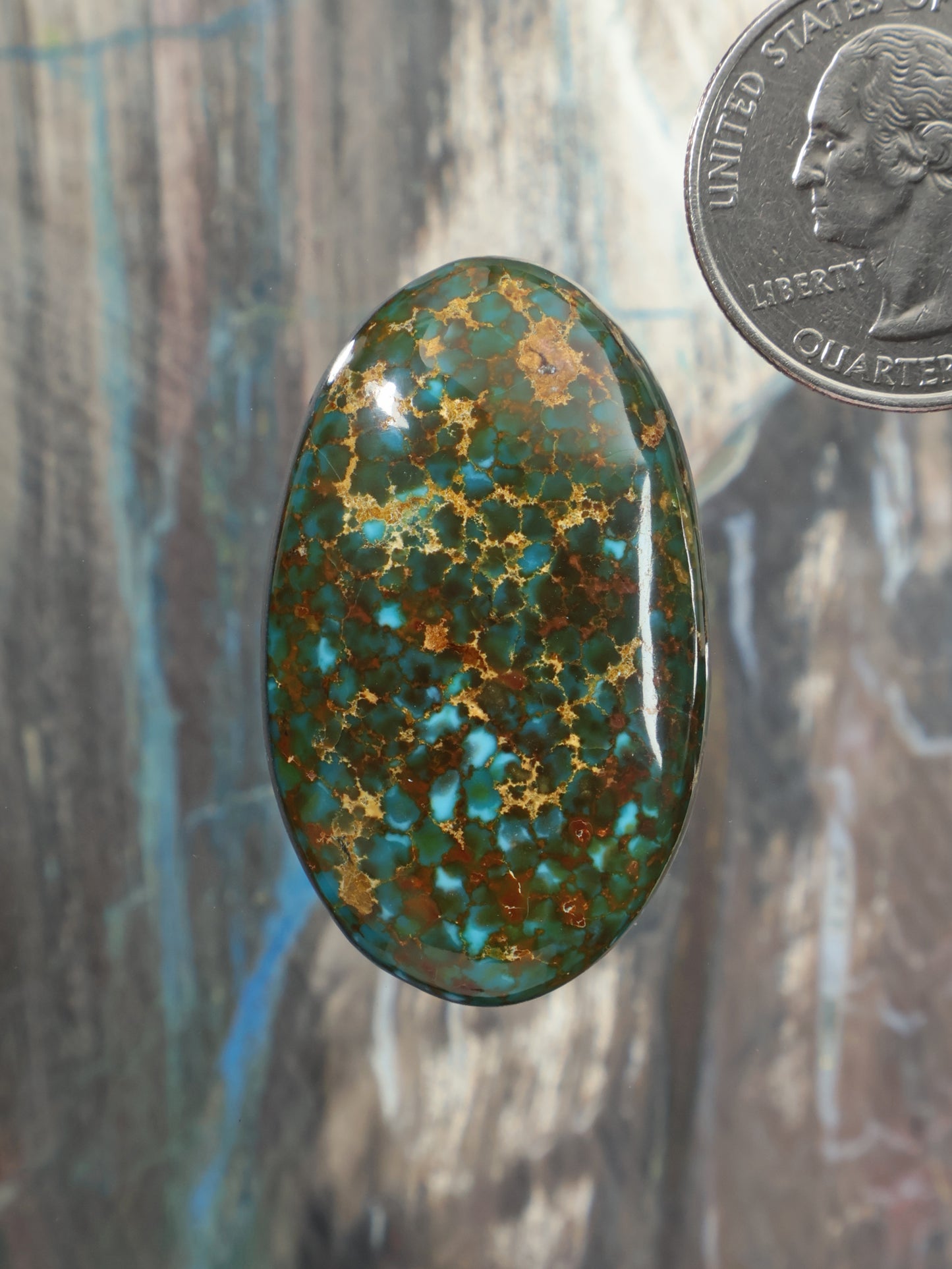 Kingman polychrome turquoise cabochon, oval green and blue matrix, gemstone.