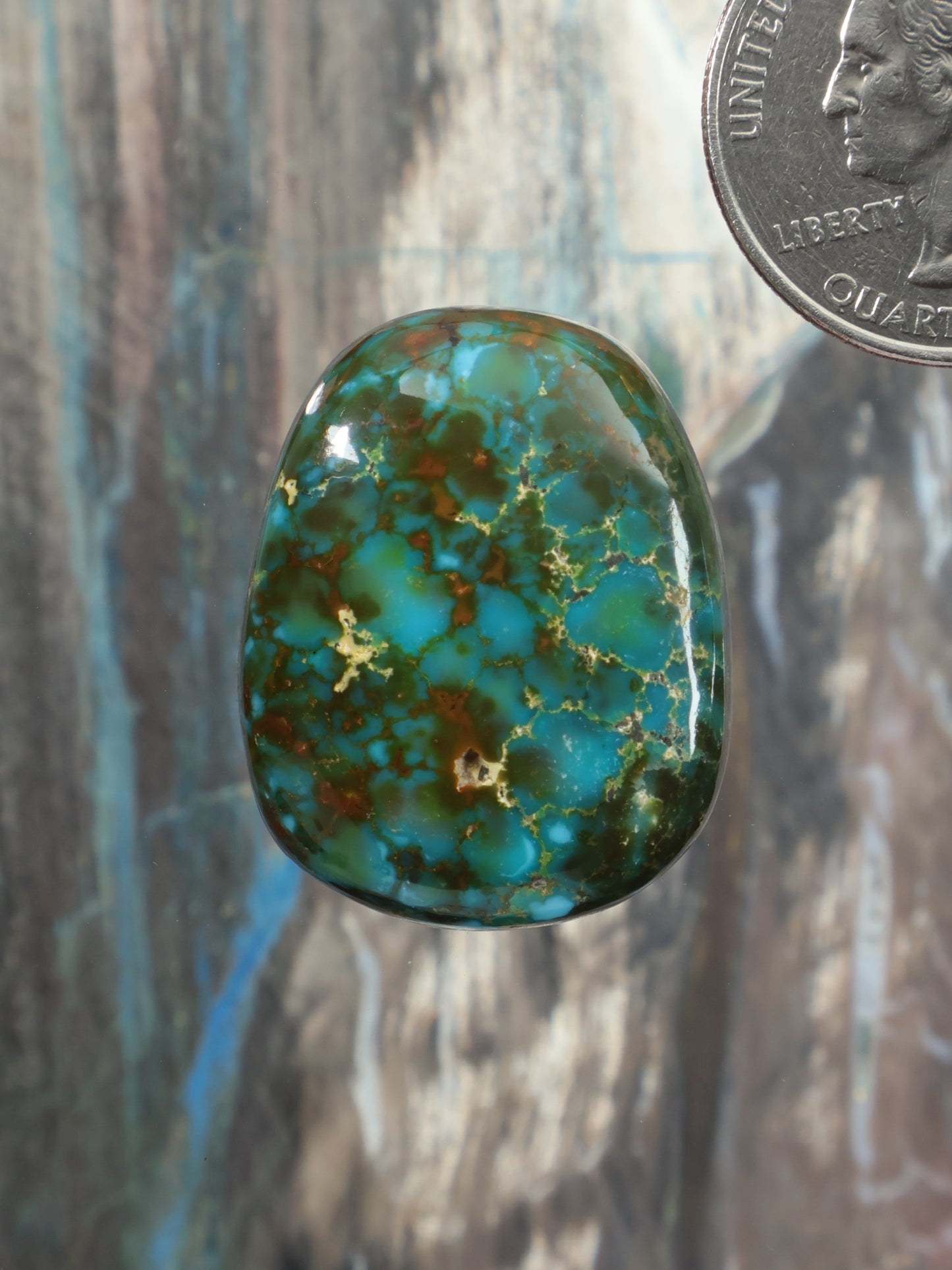 Polychrome turquoise cabochon oval gemstone with green-gold veining