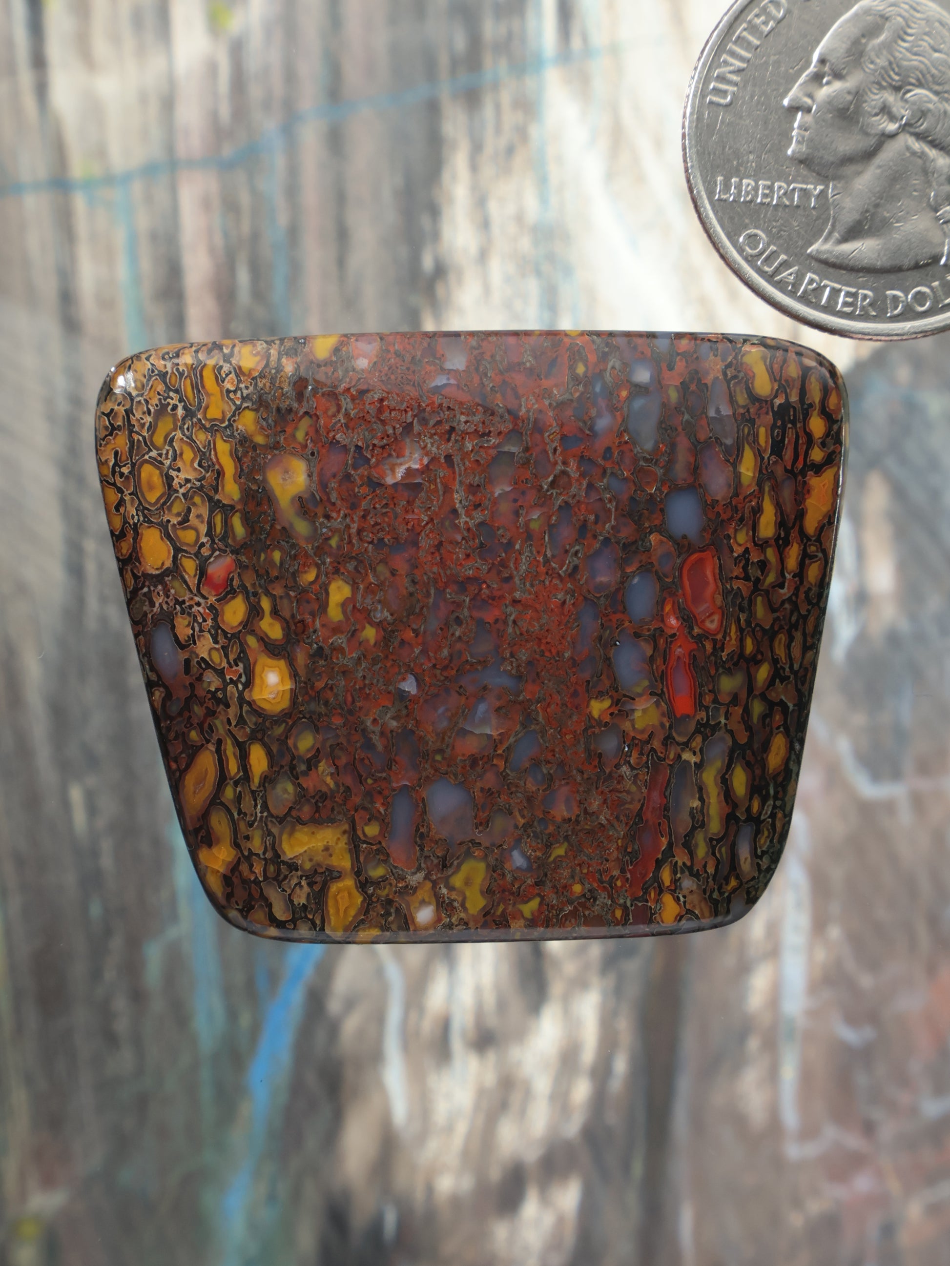 Dinosaur gembone cabochon, oval-rounded rectangular brown stone with dark webbing