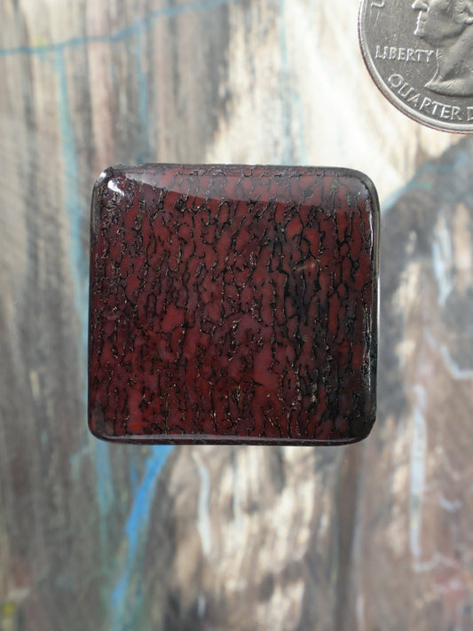 Dinosaur gembone cabochon, dark red square stone with black crackle pattern