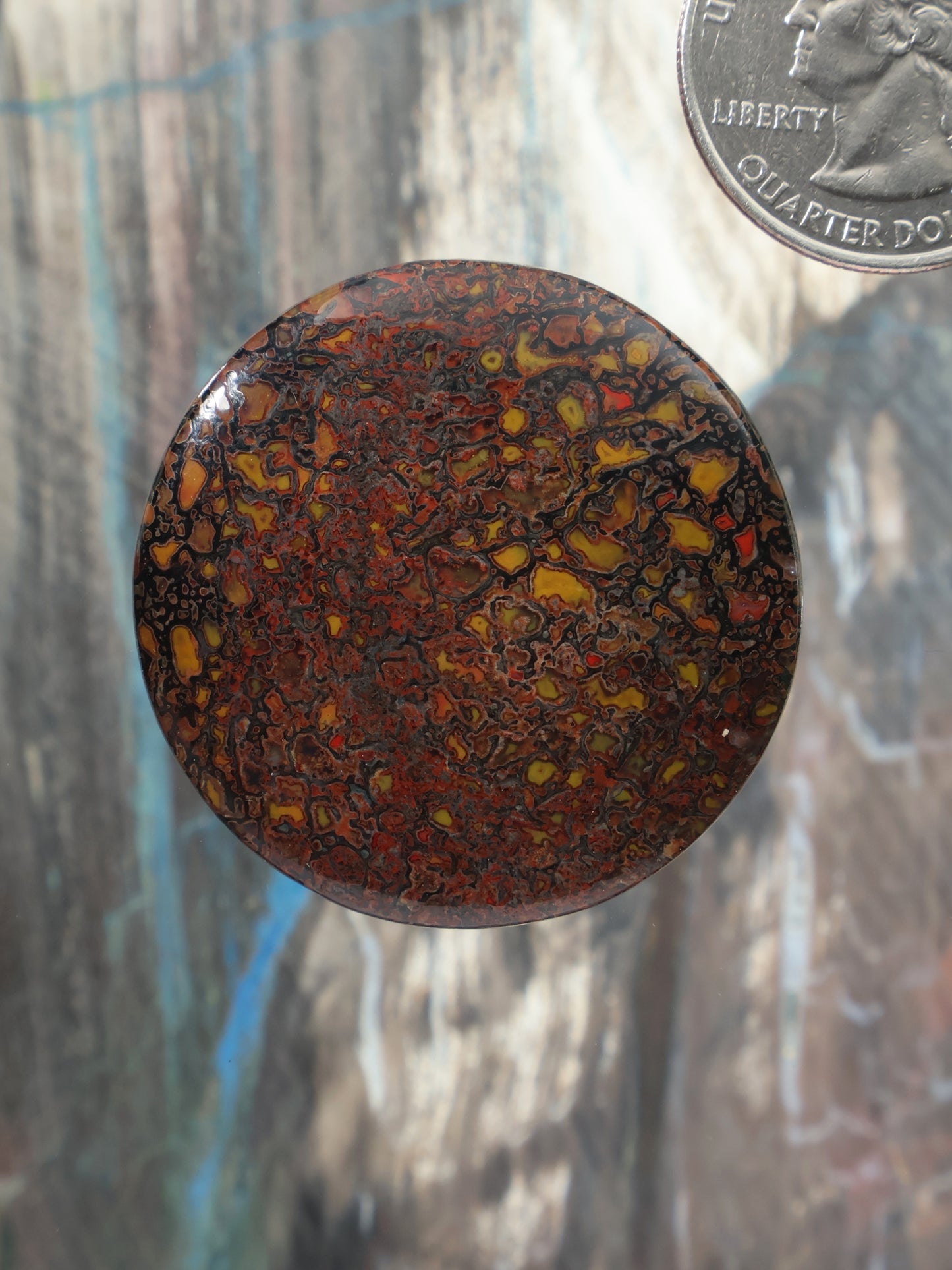 Round gembone cabochon, domed dark amber and black mottled pattern