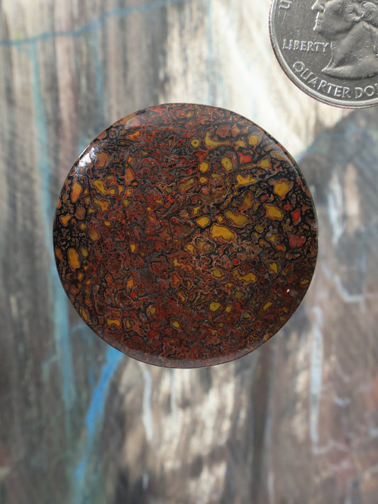 Round gembone cabochon, domed dark amber and black mottled pattern