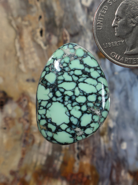 Variscite cabochon with black web pattern, teardrop shape, polished stone
