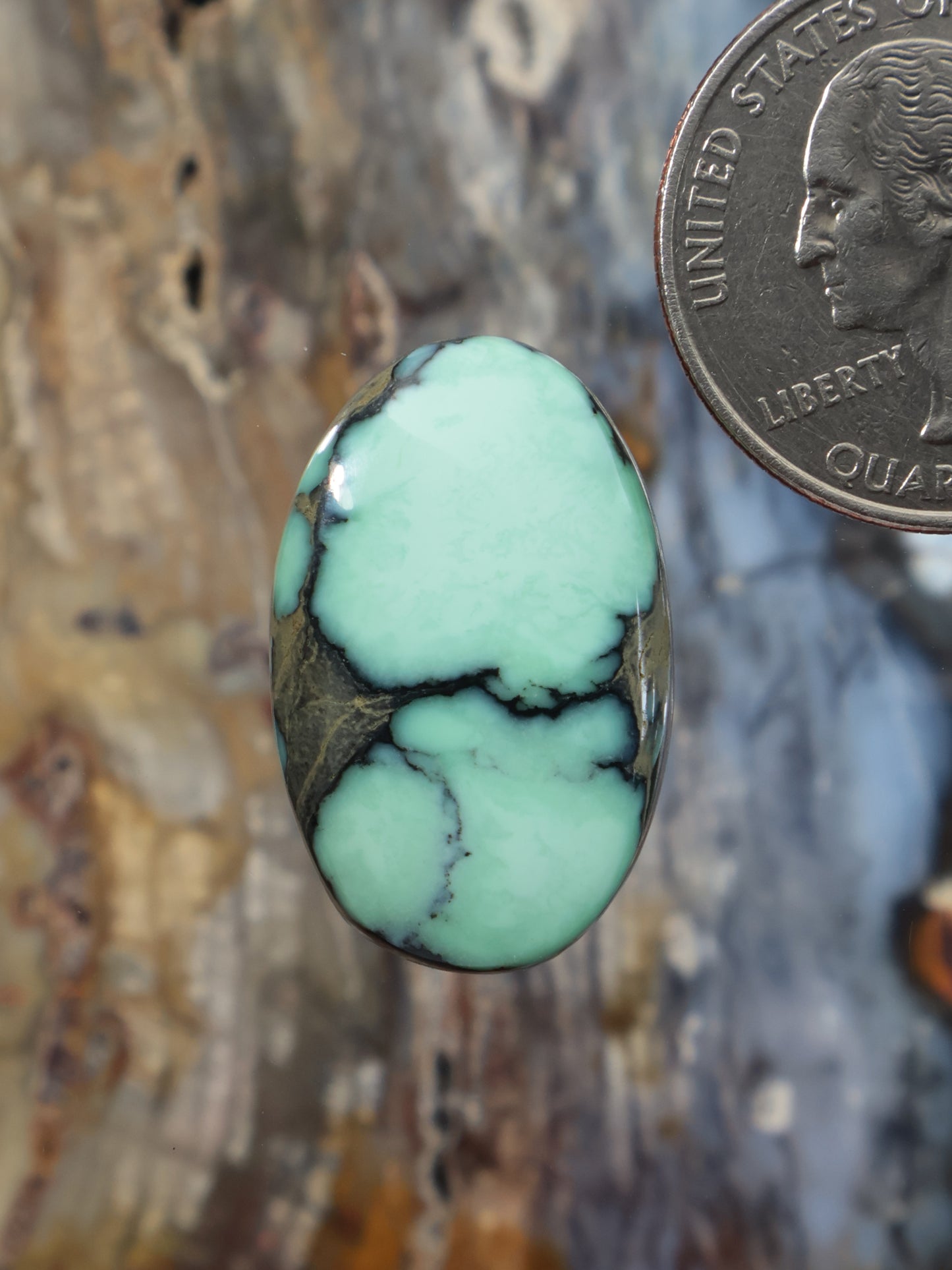 Green variscite cabochon oval stone with dark matrix webbing