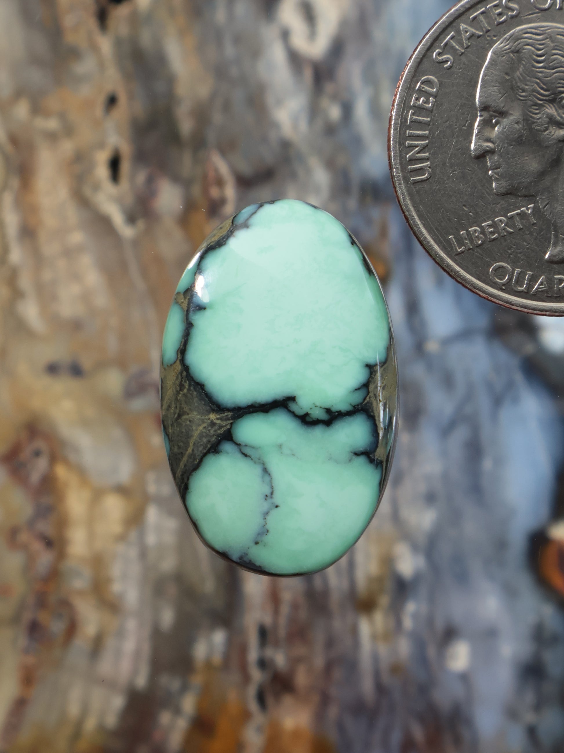 Green variscite cabochon oval stone with dark matrix webbing