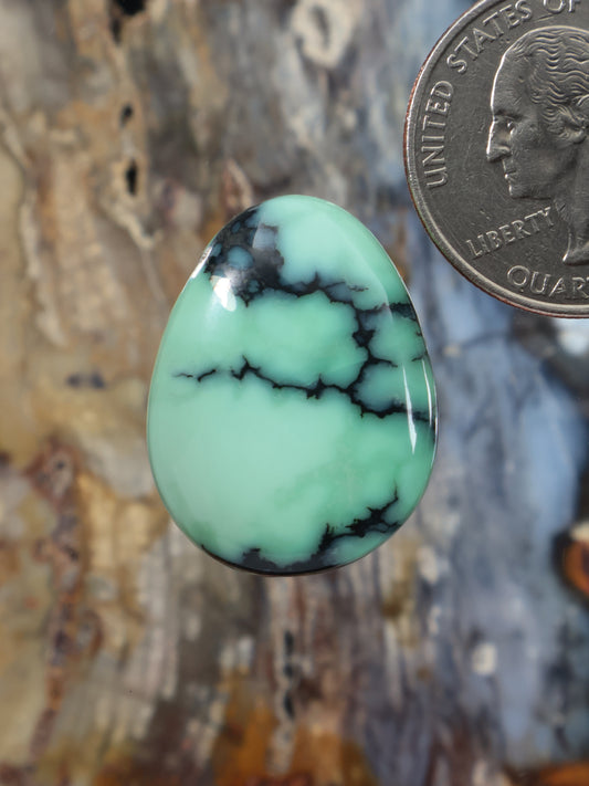 Teardrop variscite cabochon with light green color and dark black veining