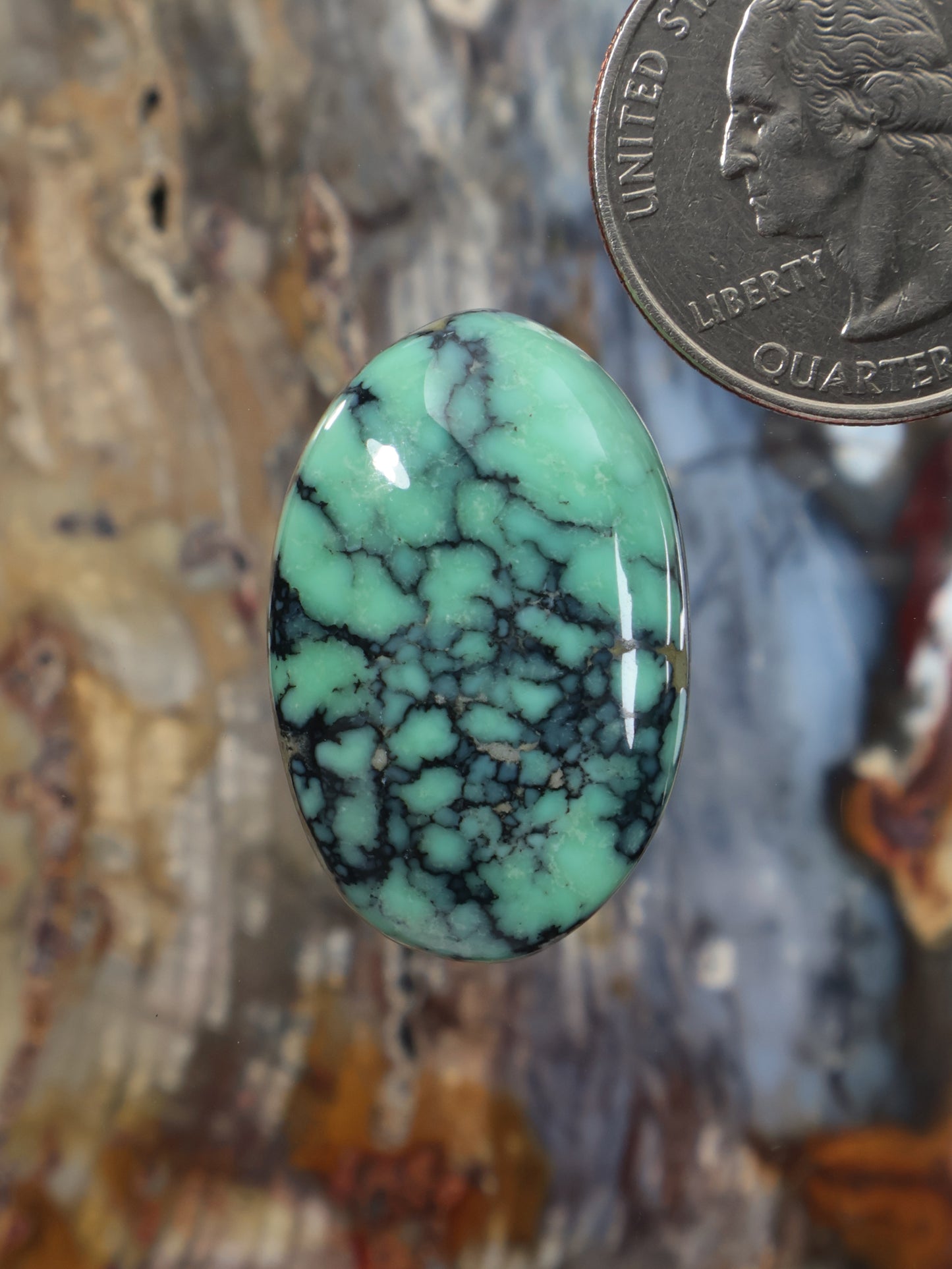 Oval variscite cabochon with green turquoise color and dark black webbed veining