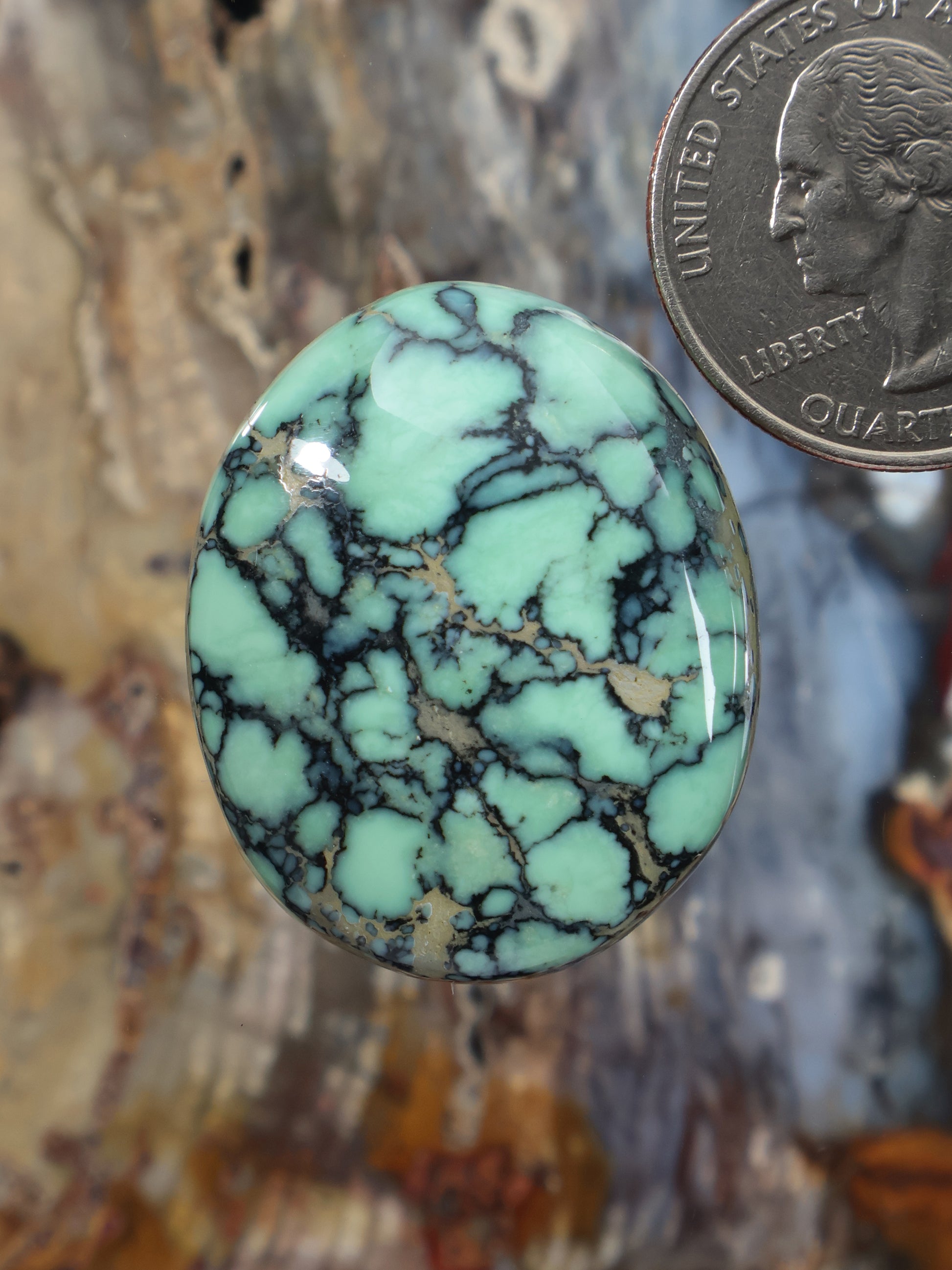 Oval turquoise variscite cabochon with dark webbed matrix veins and metal bezel