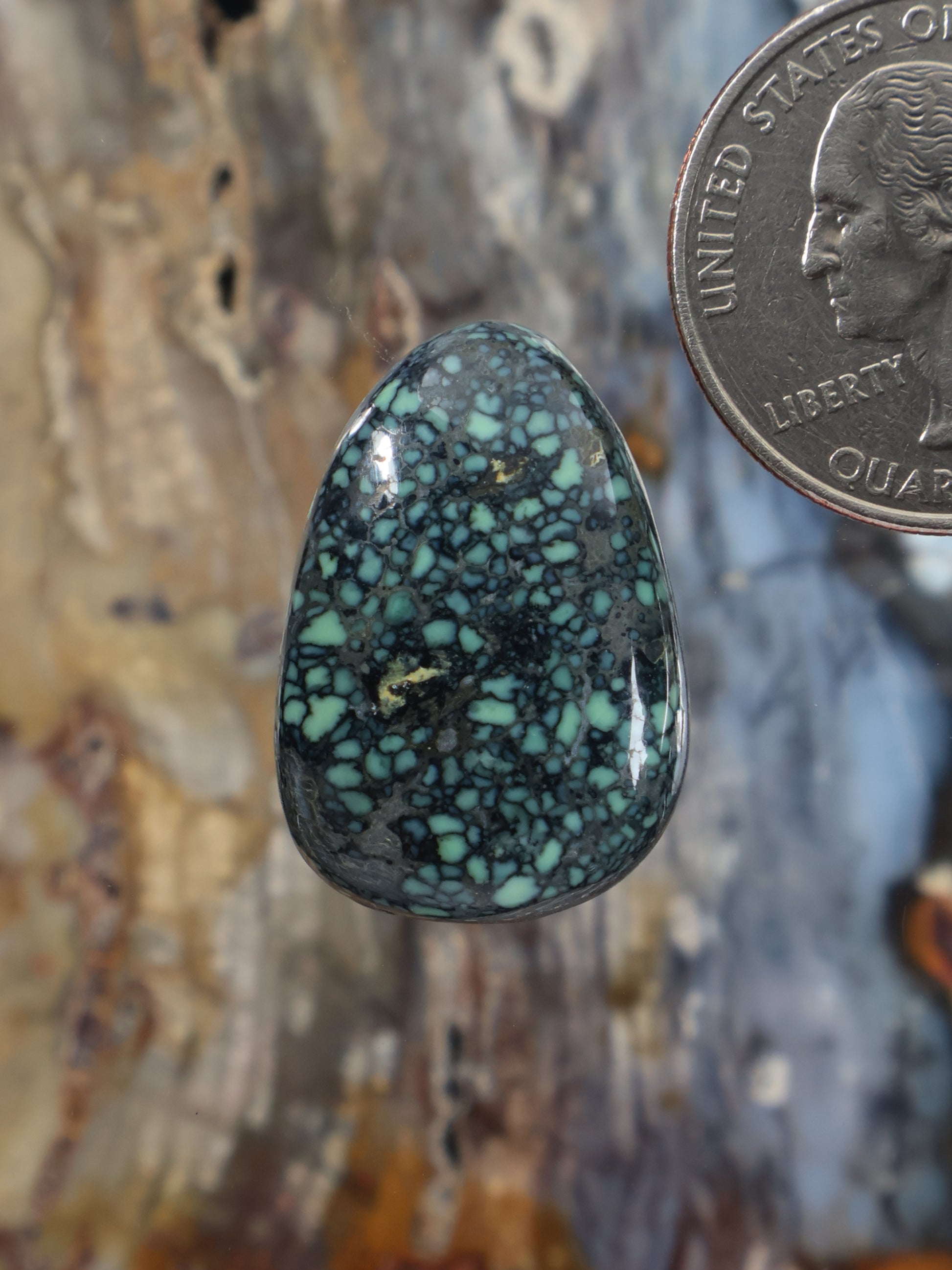 Angel Wing variscite cabochon, oval teal with dark web pattern, polished stone