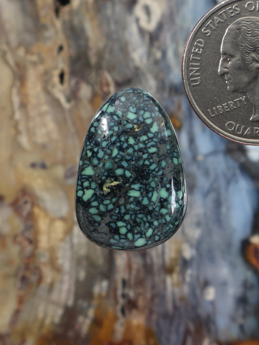 Angel Wing variscite cabochon, oval teal with dark web pattern, polished stone