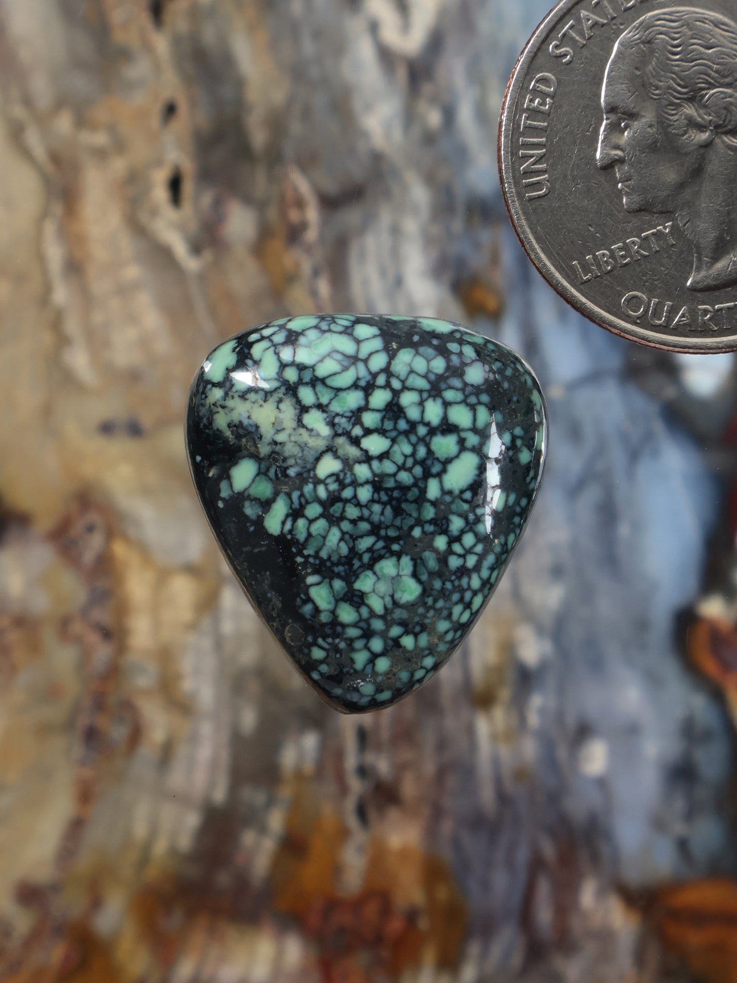 Teardrop variscite cabochon with teal and black webbed pattern, polished, Z791