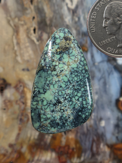 Teal variscite cabochon with turquoise web veins and light-green patches, teardrop