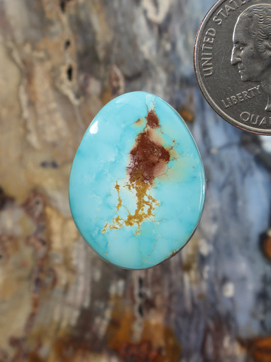 Oval turquoise cabochon gemstone with brown matrix veining.