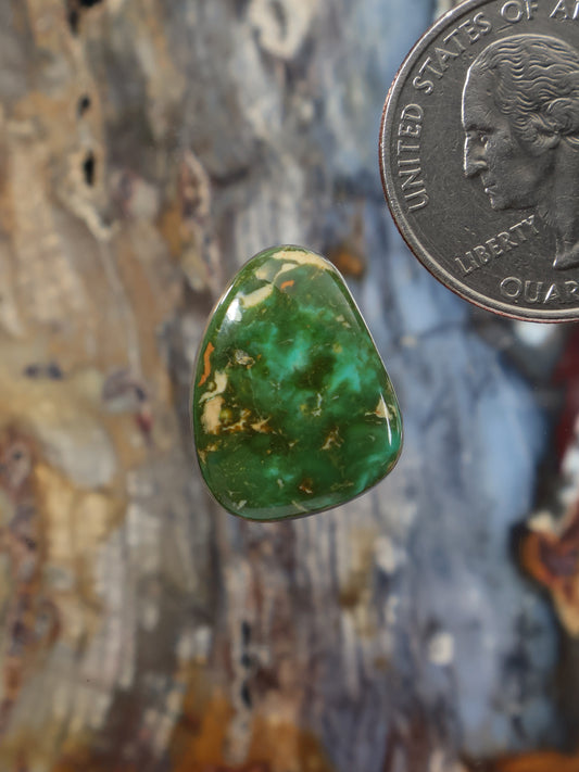 Teardrop turquoise cabochon gemstone with green and gold matrix veining