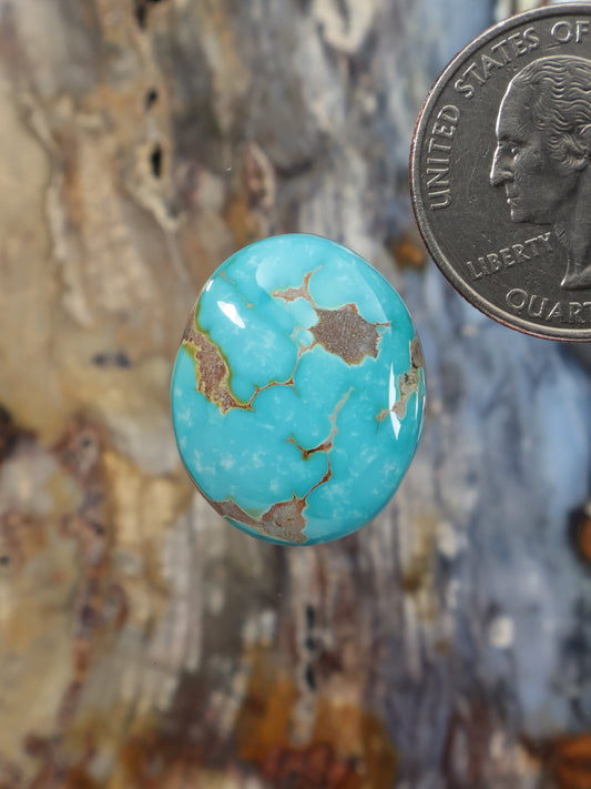 Oval turquoise cabochon gemstone with brown matrix inclusions