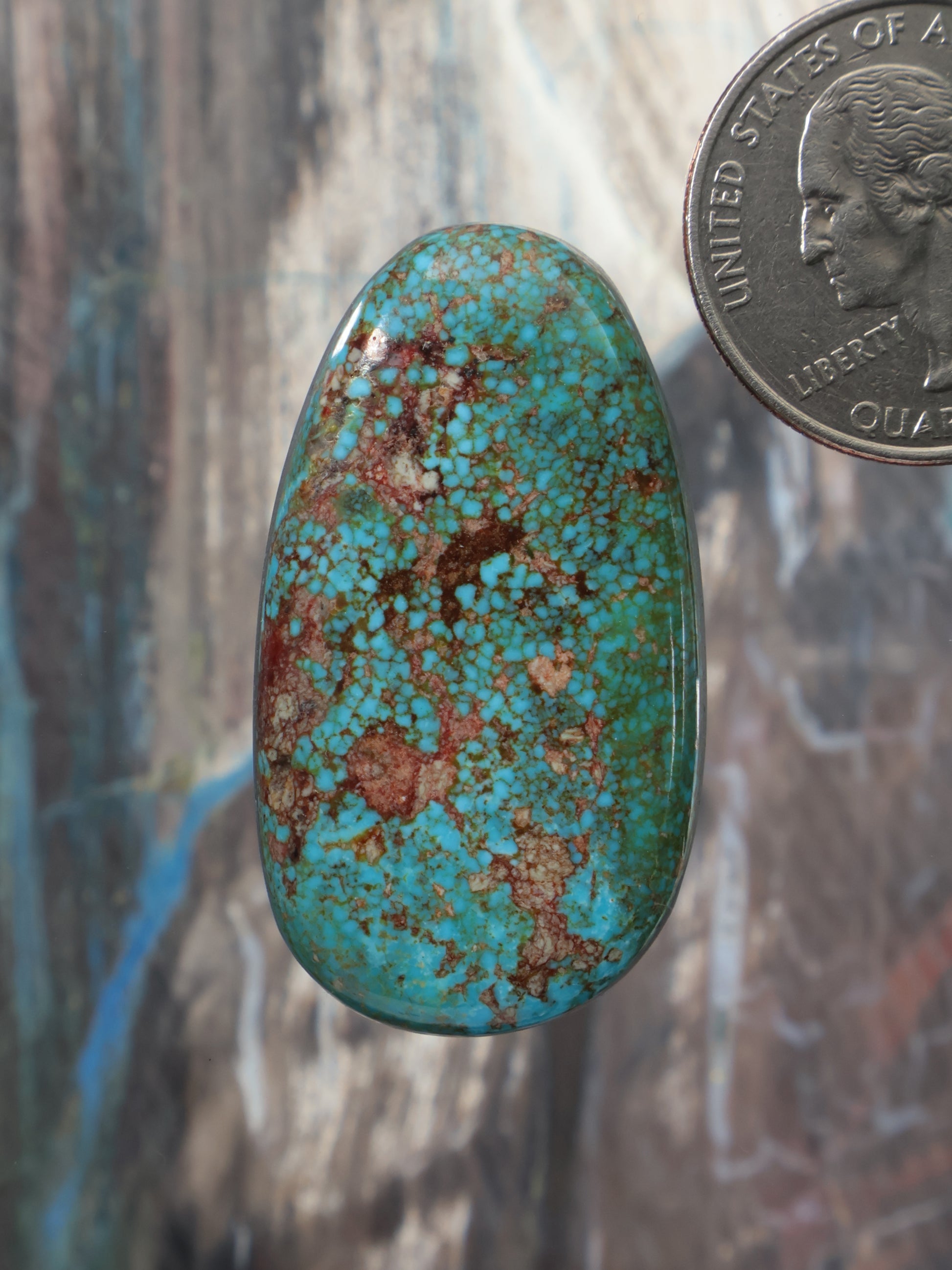 Kingman polychrome turquoise cabochon, oval teal stone with brown veining, polished dome