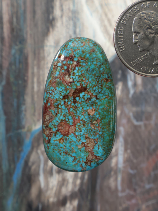 Kingman polychrome turquoise cabochon, oval teal stone with brown veining, polished dome