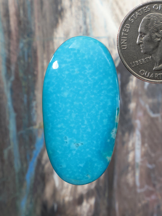 Oval turquoise cabochon gemstone with smooth polished surface and bright blue color