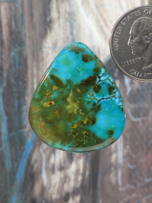 Turquoise cabochon gemstone in teardrop shape, blue with green-brown veining