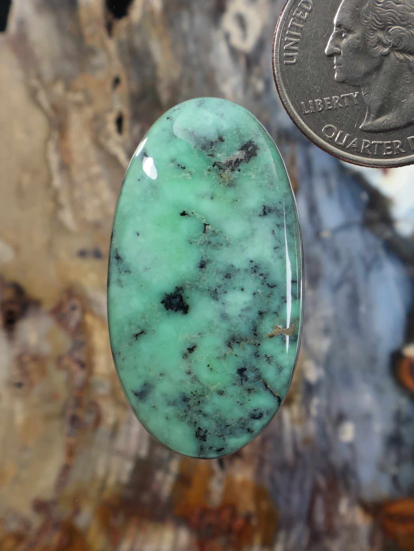 Oval variscite cabochon in mint green with dark black veining, polished
