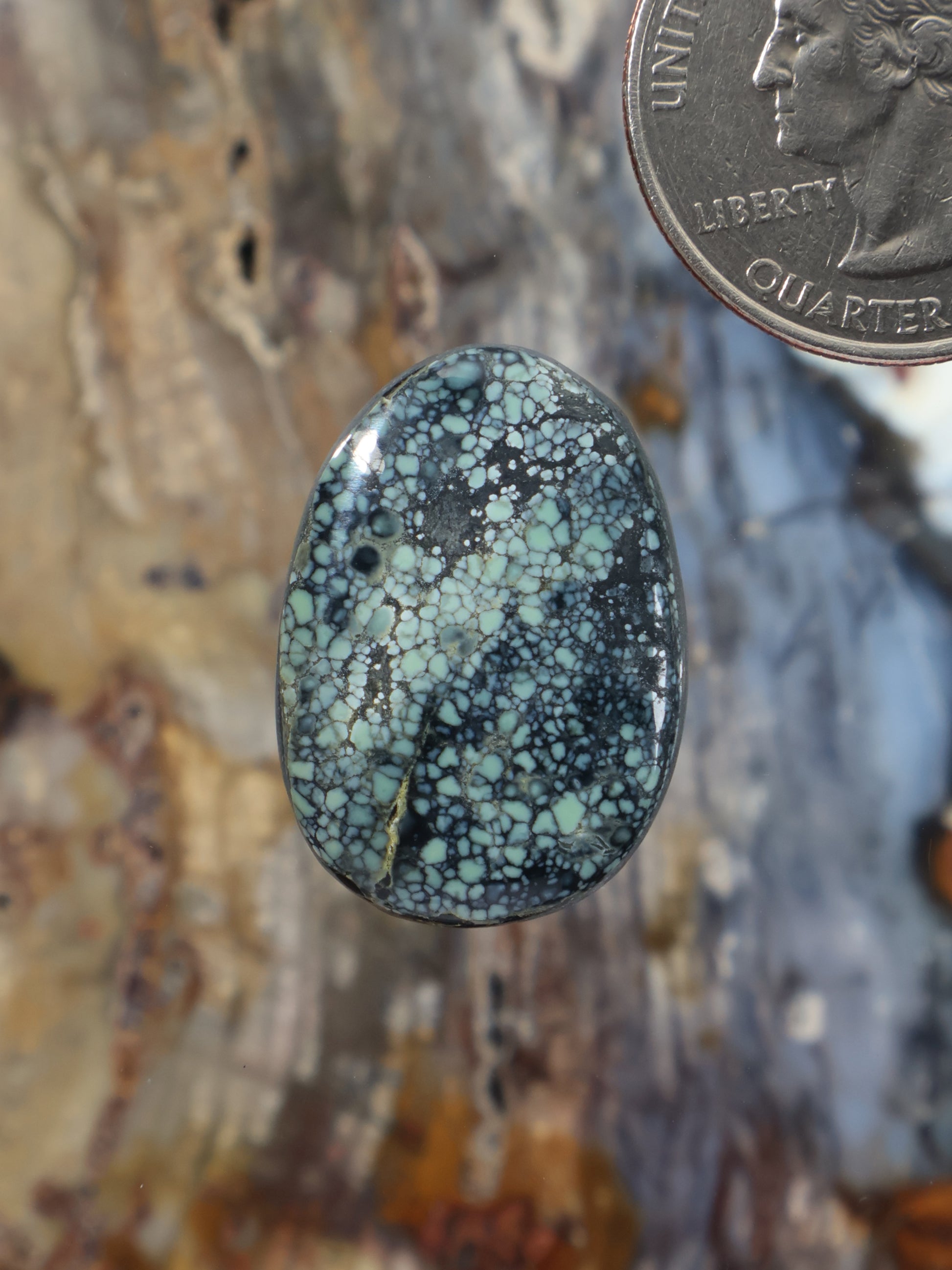 Variscite cabochon oval, blue-green with web-like vein pattern, polished stone