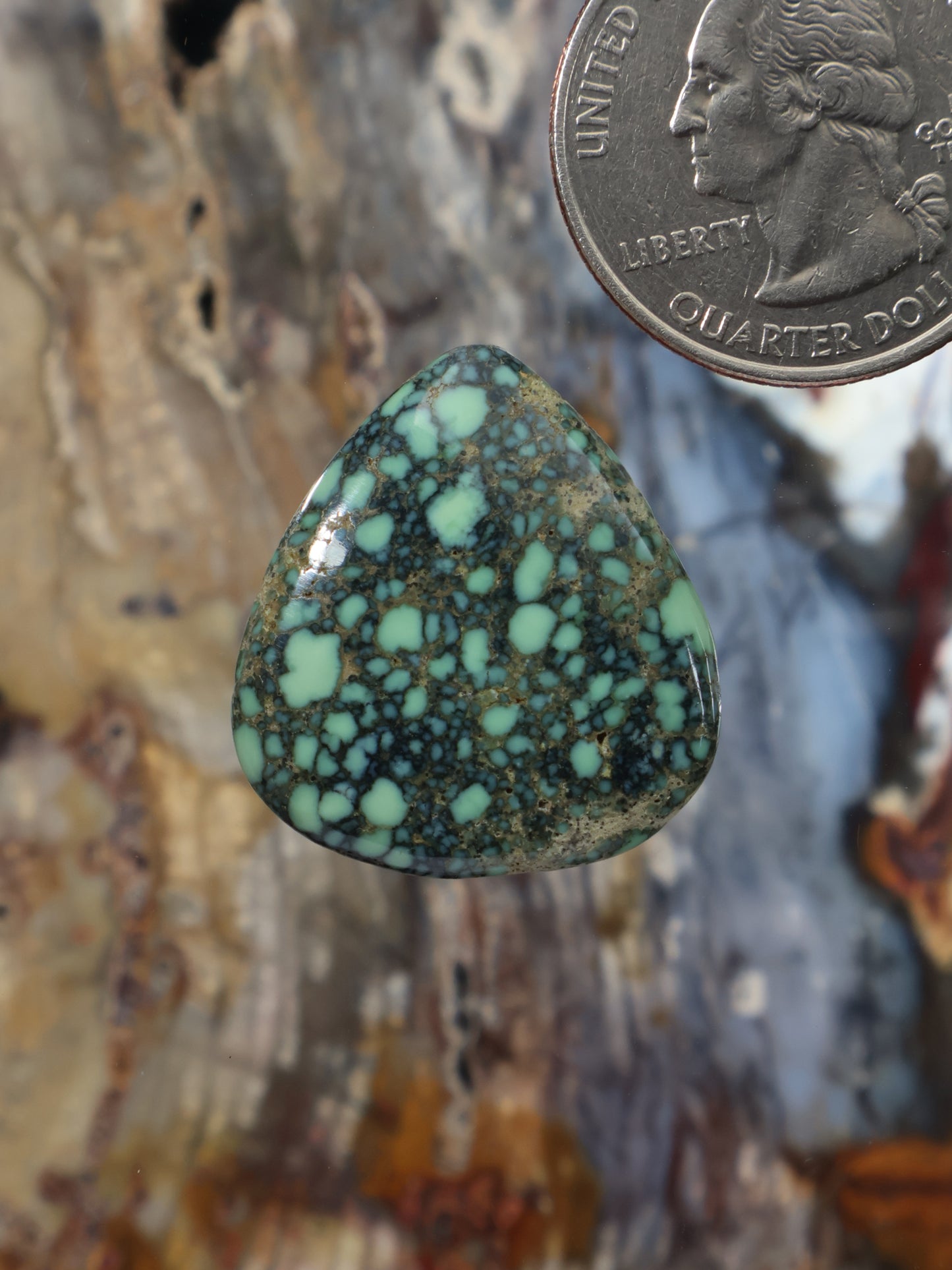 Turquoise variscite cabochon teardrop gemstone with black web matrix