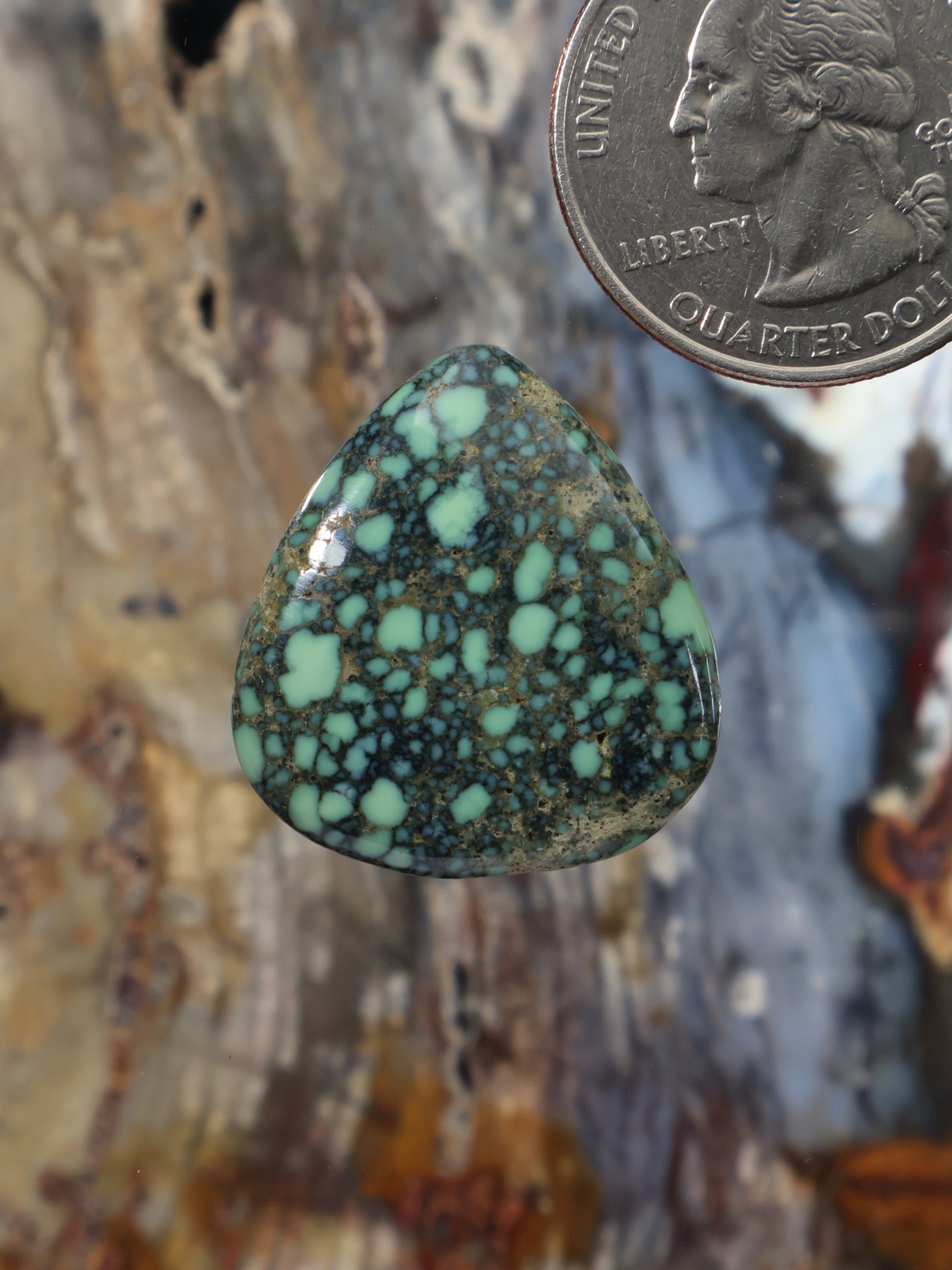 Turquoise variscite cabochon teardrop gemstone with black web matrix