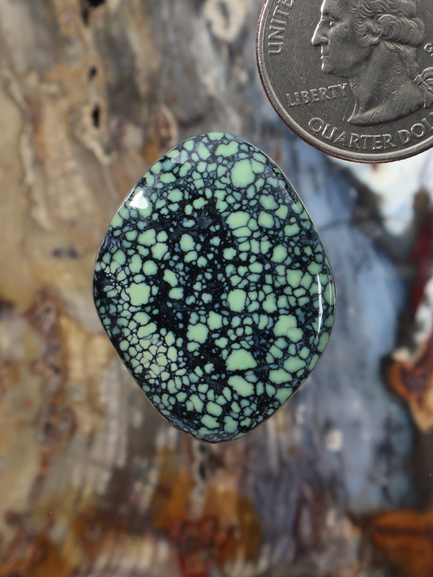 Variscite cabochon gemstone, teardrop oval shape with blue-green and white matrix veining