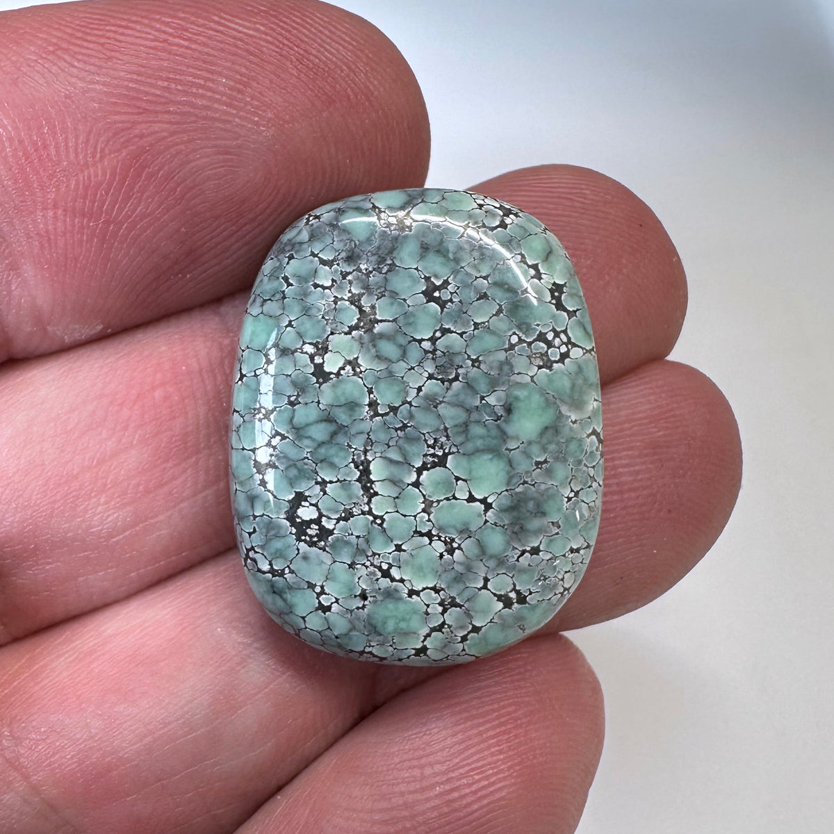 Starfox Variscite Cabochon A156