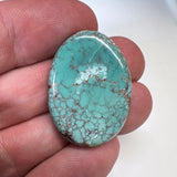 Red River Turquoise Cabochon A164