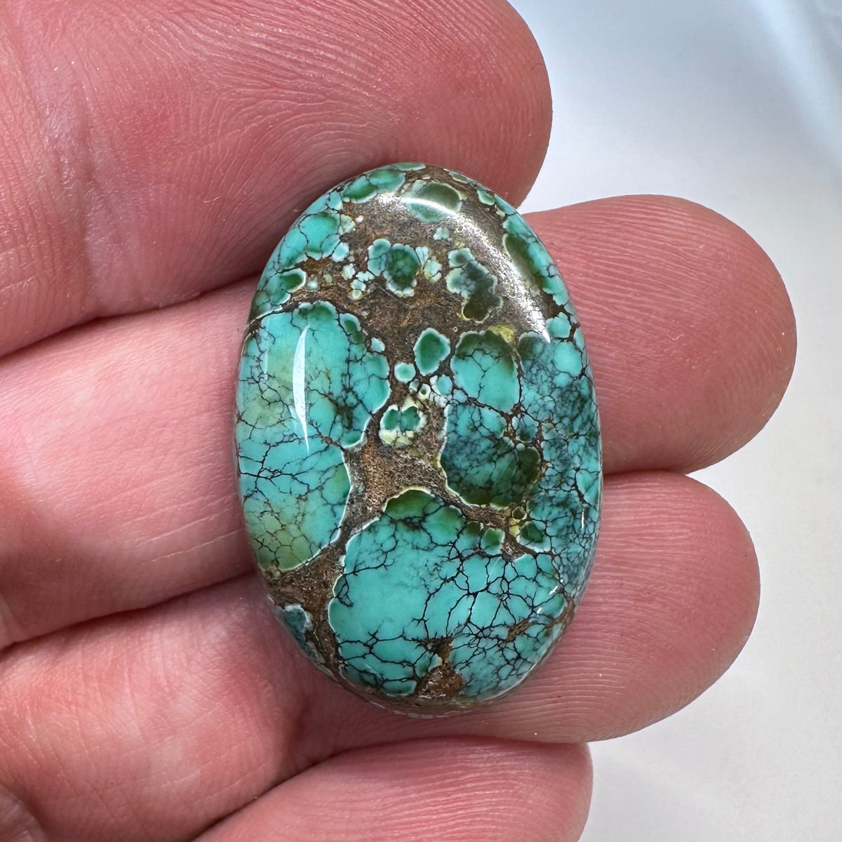 Sky Horse Turquoise Cabochon A160