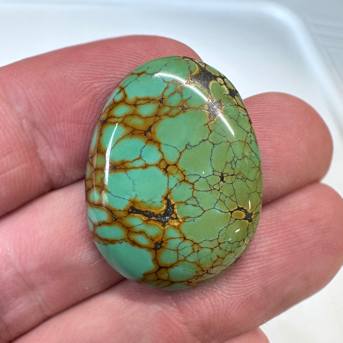 Oval turquoise cabochon with brown veining and glossy polished surface.