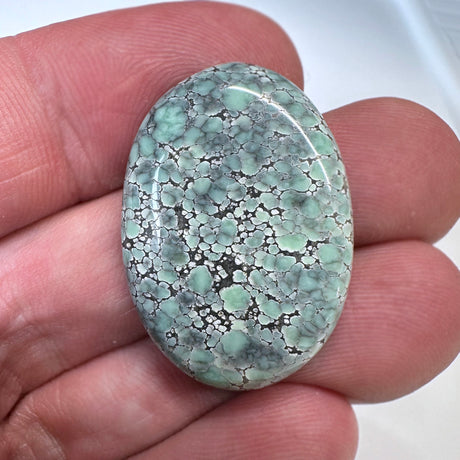 Starfox Variscite Cabochon A157