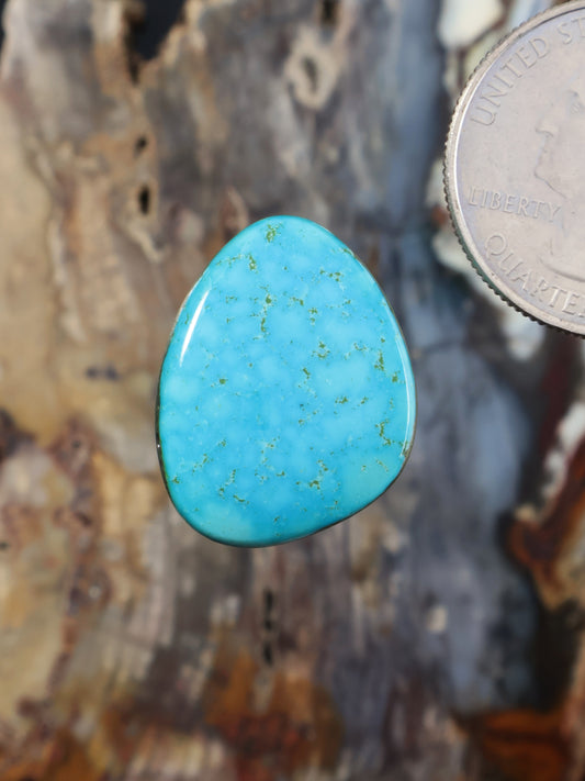 Morenci turquoise cabochon gemstone, oval teardrop shape with smooth polished surface
